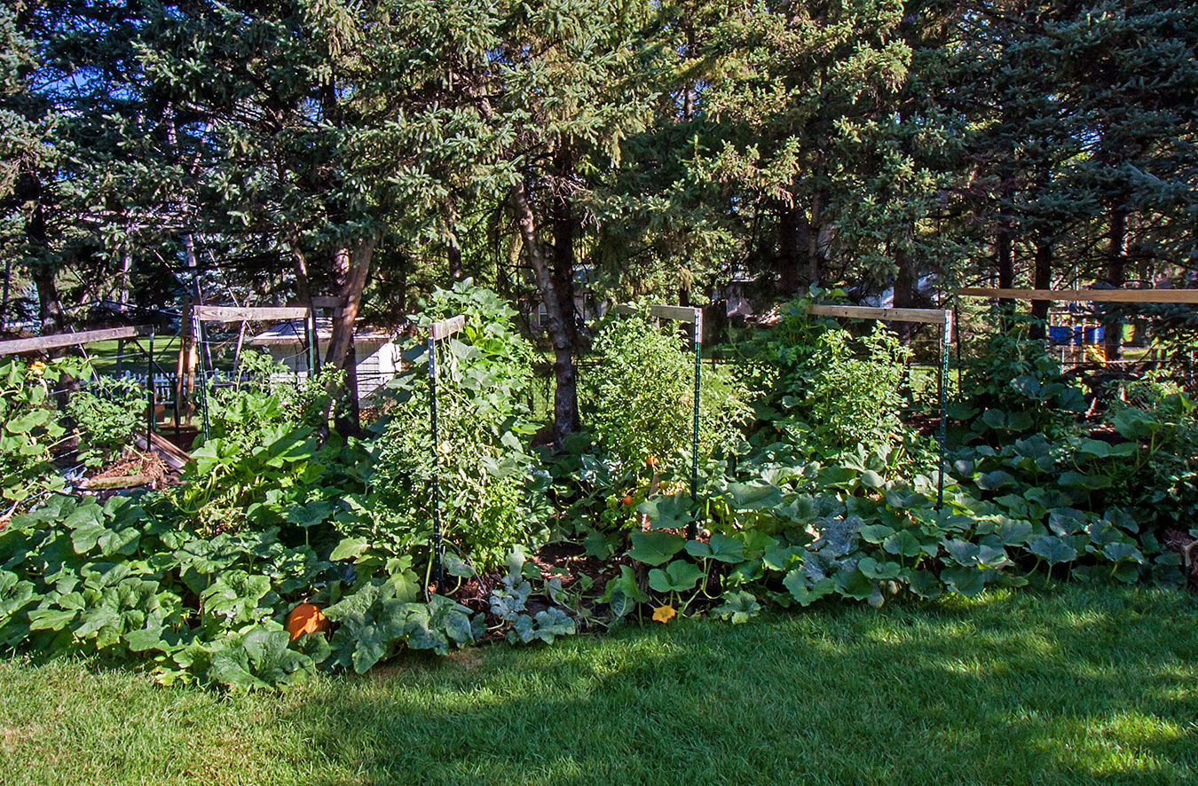 Joel Karsten's garden